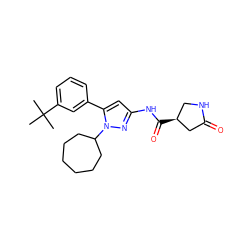 CC(C)(C)c1cccc(-c2cc(NC(=O)[C@H]3CNC(=O)C3)nn2C2CCCCCC2)c1 ZINC000169707026