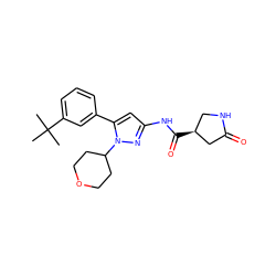 CC(C)(C)c1cccc(-c2cc(NC(=O)[C@H]3CNC(=O)C3)nn2C2CCOCC2)c1 ZINC000169707117