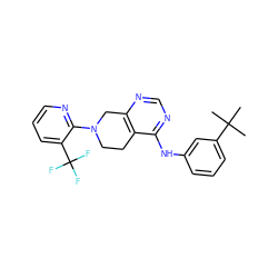 CC(C)(C)c1cccc(Nc2ncnc3c2CCN(c2ncccc2C(F)(F)F)C3)c1 ZINC000064550082