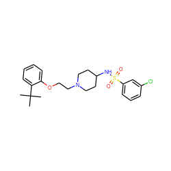 CC(C)(C)c1ccccc1OCCN1CCC(NS(=O)(=O)c2cccc(Cl)c2)CC1 ZINC000653695772