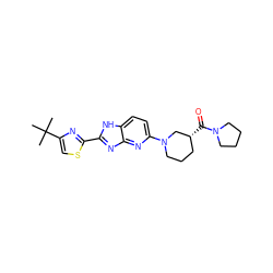 CC(C)(C)c1csc(-c2nc3nc(N4CCC[C@@H](C(=O)N5CCCC5)C4)ccc3[nH]2)n1 ZINC001772575660