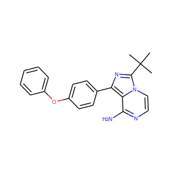 CC(C)(C)c1nc(-c2ccc(Oc3ccccc3)cc2)c2c(N)nccn12 ZINC000096168053