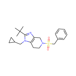 CC(C)(C)c1nc2c(n1CC1CC1)CCN(S(=O)(=O)Cc1ccccc1)C2 ZINC000043020620