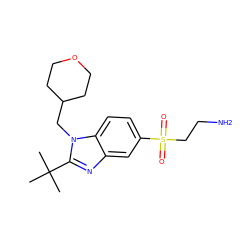 CC(C)(C)c1nc2cc(S(=O)(=O)CCN)ccc2n1CC1CCOCC1 ZINC000029046437