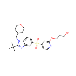 CC(C)(C)c1nc2cc(S(=O)(=O)c3ccnc(OCCCO)c3)ccc2n1CC1CCOCC1 ZINC000082158641