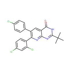 CC(C)(C)c1nc2nc(-c3ccc(Cl)cc3Cl)c(-c3ccc(Cl)cc3)cc2c(=O)[nH]1 ZINC000040875417