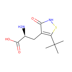 CC(C)(C)c1s[nH]c(=O)c1C[C@H](N)C(=O)O ZINC000000008933