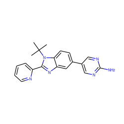 CC(C)(C)n1c(-c2ccccn2)nc2cc(-c3cnc(N)nc3)ccc21 ZINC000169245755