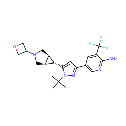 CC(C)(C)n1nc(-c2cnc(N)c(C(F)(F)F)c2)cc1[C@@H]1[C@H]2CN(C3COC3)C[C@H]21 ZINC000148068964