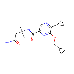 CC(C)(CC(N)=O)NC(=O)c1cnc(C2CC2)c(OCC2CC2)n1 ZINC000207420855