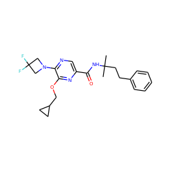 CC(C)(CCc1ccccc1)NC(=O)c1cnc(N2CC(F)(F)C2)c(OCC2CC2)n1 ZINC000207420515