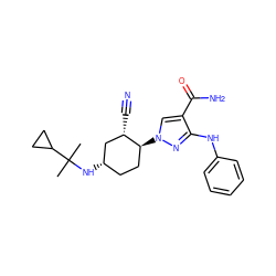 CC(C)(N[C@H]1CC[C@H](n2cc(C(N)=O)c(Nc3ccccc3)n2)[C@@H](C#N)C1)C1CC1 ZINC000221834352