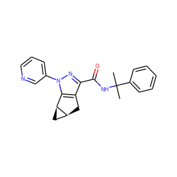 CC(C)(NC(=O)c1nn(-c2cccnc2)c2c1C[C@H]1C[C@@H]21)c1ccccc1 ZINC000299834447