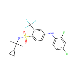 CC(C)(NS(=O)(=O)c1ccc(Nc2ccc(Cl)cc2Cl)cc1C(F)(F)F)C1CC1 ZINC000146115429