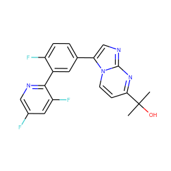 CC(C)(O)c1ccn2c(-c3ccc(F)c(-c4ncc(F)cc4F)c3)cnc2n1 ZINC000028571826