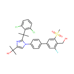 CC(C)(O)c1cn(-c2ccc(-c3cc(F)c(CO)c(S(C)(=O)=O)c3)cc2)c(C(C)(C)c2c(Cl)cccc2Cl)n1 ZINC000114577860