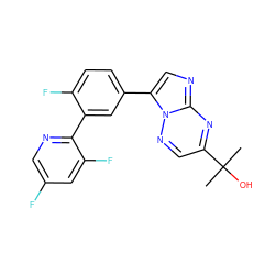 CC(C)(O)c1cnn2c(-c3ccc(F)c(-c4ncc(F)cc4F)c3)cnc2n1 ZINC000028571868