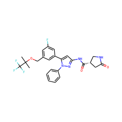 CC(C)(OCc1cc(F)cc(-c2cc(NC(=O)[C@@H]3CNC(=O)C3)nn2-c2ccccc2)c1)C(F)(F)F ZINC000169707449