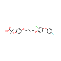 CC(C)(Oc1ccc(OCCCCOc2ccc(Oc3ccc(F)cc3)cc2Cl)cc1)C(=O)O ZINC000028571460