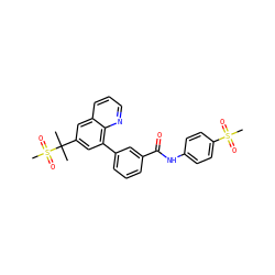 CC(C)(c1cc(-c2cccc(C(=O)Nc3ccc(S(C)(=O)=O)cc3)c2)c2ncccc2c1)S(C)(=O)=O ZINC000036268814