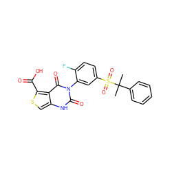 CC(C)(c1ccccc1)S(=O)(=O)c1ccc(F)c(-n2c(=O)[nH]c3csc(C(=O)O)c3c2=O)c1 ZINC000137020133