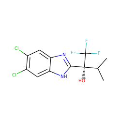 CC(C)[C@@](O)(c1nc2cc(Cl)c(Cl)cc2[nH]1)C(F)(F)F ZINC000028954178