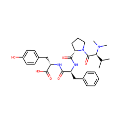 CC(C)[C@@H](C(=O)N1CCC[C@H]1C(=O)N[C@@H](Cc1ccccc1)C(=O)N[C@@H](Cc1ccc(O)cc1)C(=O)O)N(C)C ZINC000028459914
