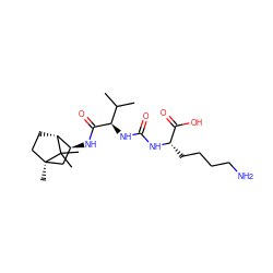 CC(C)[C@@H](NC(=O)N[C@@H](CCCCN)C(=O)O)C(=O)N[C@H]1C[C@@]2(C)CC[C@H]1C2(C)C ZINC000473136957