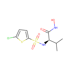 CC(C)[C@@H](NS(=O)(=O)c1ccc(Cl)s1)C(=O)NO ZINC000014946076