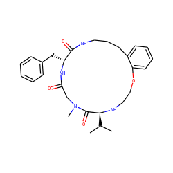 CC(C)[C@@H]1NCCOc2ccccc2CCCNC(=O)[C@@H](Cc2ccccc2)NC(=O)CN(C)C1=O ZINC001772635441