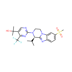 CC(C)[C@@H]1c2nc3ccc(S(C)(=O)=O)cc3n2CCN1c1ncc(C(C)(C)O)c(C(F)(F)F)n1 ZINC000147716133