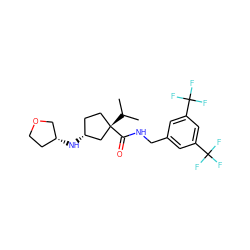 CC(C)[C@]1(C(=O)NCc2cc(C(F)(F)F)cc(C(F)(F)F)c2)CC[C@@H](N[C@@H]2CCOC2)C1 ZINC000040954212