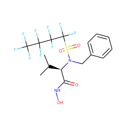 CC(C)[C@H](C(=O)NO)N(Cc1ccccc1)S(=O)(=O)C(F)(F)C(F)(F)C(F)(F)C(F)(F)F ZINC000010450247