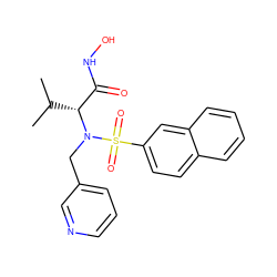 CC(C)[C@H](C(=O)NO)N(Cc1cccnc1)S(=O)(=O)c1ccc2ccccc2c1 ZINC000073160459