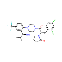 CC(C)[C@H](N)c1cc(C(F)(F)F)ccc1N1CCN(C(=O)[C@@H](Cc2ccc(Cl)cc2Cl)N2CCCC2=O)CC1 ZINC000028824335