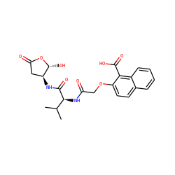 CC(C)[C@H](NC(=O)COc1ccc2ccccc2c1C(=O)O)C(=O)N[C@H]1CC(=O)O[C@@H]1O ZINC000013819303