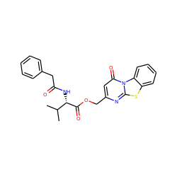 CC(C)[C@H](NC(=O)Cc1ccccc1)C(=O)OCc1cc(=O)n2c(n1)sc1ccccc12 ZINC000003450745