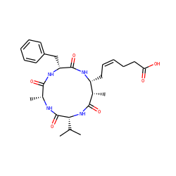 CC(C)[C@H]1NC(=O)[C@@H](C)[C@@H](C/C=C\CCC(=O)O)NC(=O)[C@@H](Cc2ccccc2)NC(=O)[C@@H](C)NC1=O ZINC000013974757