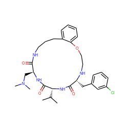 CC(C)[C@H]1NC(=O)[C@@H](Cc2cccc(Cl)c2)NCCOc2ccccc2CCCNC(=O)[C@H](CN(C)C)NC1=O ZINC000028823454