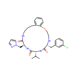 CC(C)[C@H]1NC(=O)[C@@H](Cc2cccc(Cl)c2)NCCOc2ccccc2CCCNC(=O)[C@H](Cn2cccn2)NC1=O ZINC000028823472