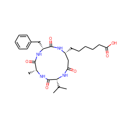 CC(C)[C@H]1NC(=O)C[C@@H](CCCCCC(=O)O)NC(=O)[C@@H](Cc2ccccc2)NC(=O)[C@@H](C)NC1=O ZINC000299824908