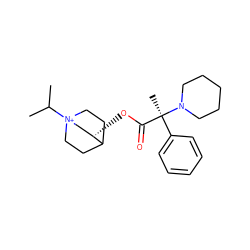 CC(C)[N+]12CCC(CC1)[C@@H](OC(=O)[C@](C)(c1ccccc1)N1CCCCC1)C2 ZINC000073160013