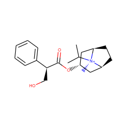 CC(C)[N@+]1(C)[C@H]2CC[C@@H]1C[C@@H](OC(=O)[C@@H](CO)c1ccccc1)C2 ZINC000250576018