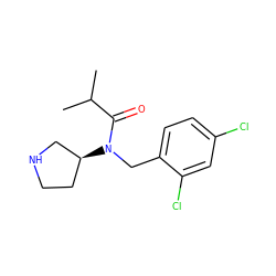 CC(C)C(=O)N(Cc1ccc(Cl)cc1Cl)[C@H]1CCNC1 ZINC000040874947