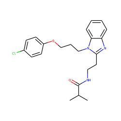 CC(C)C(=O)NCCc1nc2ccccc2n1CCCOc1ccc(Cl)cc1 ZINC000012381921