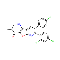 CC(C)C(=O)c1oc2nc(-c3ccc(Cl)cc3Cl)c(-c3ccc(Cl)cc3)cc2c1N ZINC000038909681