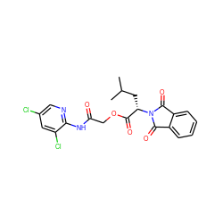 CC(C)C[C@@H](C(=O)OCC(=O)Nc1ncc(Cl)cc1Cl)N1C(=O)c2ccccc2C1=O ZINC000003261183