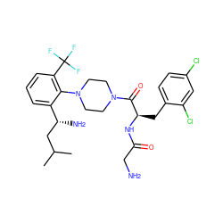 CC(C)C[C@@H](N)c1cccc(C(F)(F)F)c1N1CCN(C(=O)[C@@H](Cc2ccc(Cl)cc2Cl)NC(=O)CN)CC1 ZINC000028825745