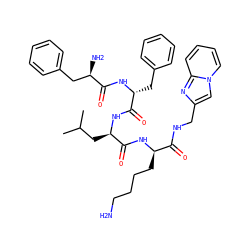 CC(C)C[C@@H](NC(=O)[C@@H](Cc1ccccc1)NC(=O)[C@H](N)Cc1ccccc1)C(=O)N[C@H](CCCCN)C(=O)NCc1cn2ccccc2n1 ZINC000164649469