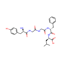 CC(C)C[C@@H](NC(=O)[C@@H](Cc1ccccc1)NC(=O)CNC(=O)CNC(=O)[C@H](N)Cc1ccc(O)cc1)C(=O)O ZINC000003873091